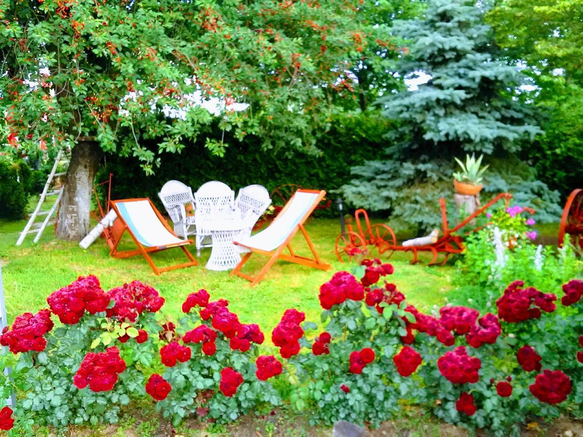 Hrvatski Leskovac Klet Cinkus Bed & Breakfast エクステリア 写真