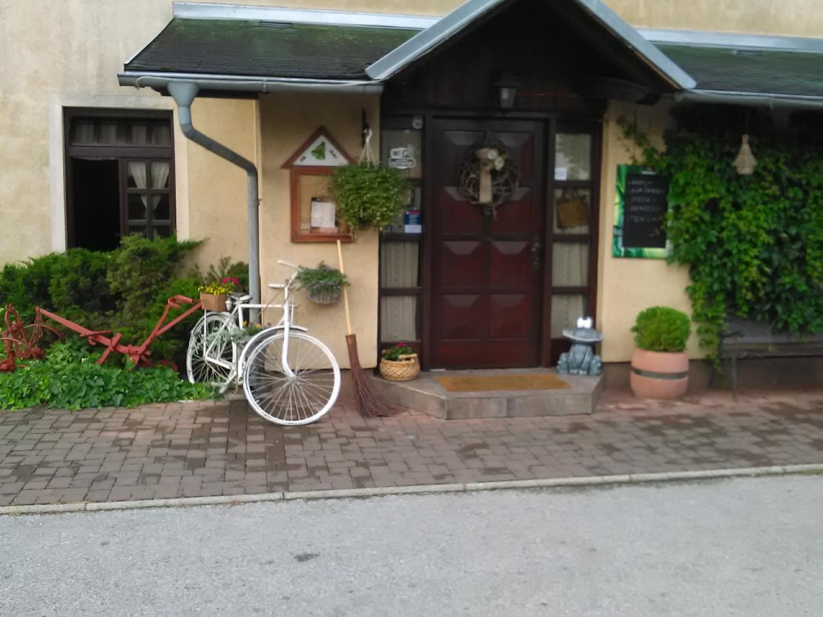 Hrvatski Leskovac Klet Cinkus Bed & Breakfast エクステリア 写真