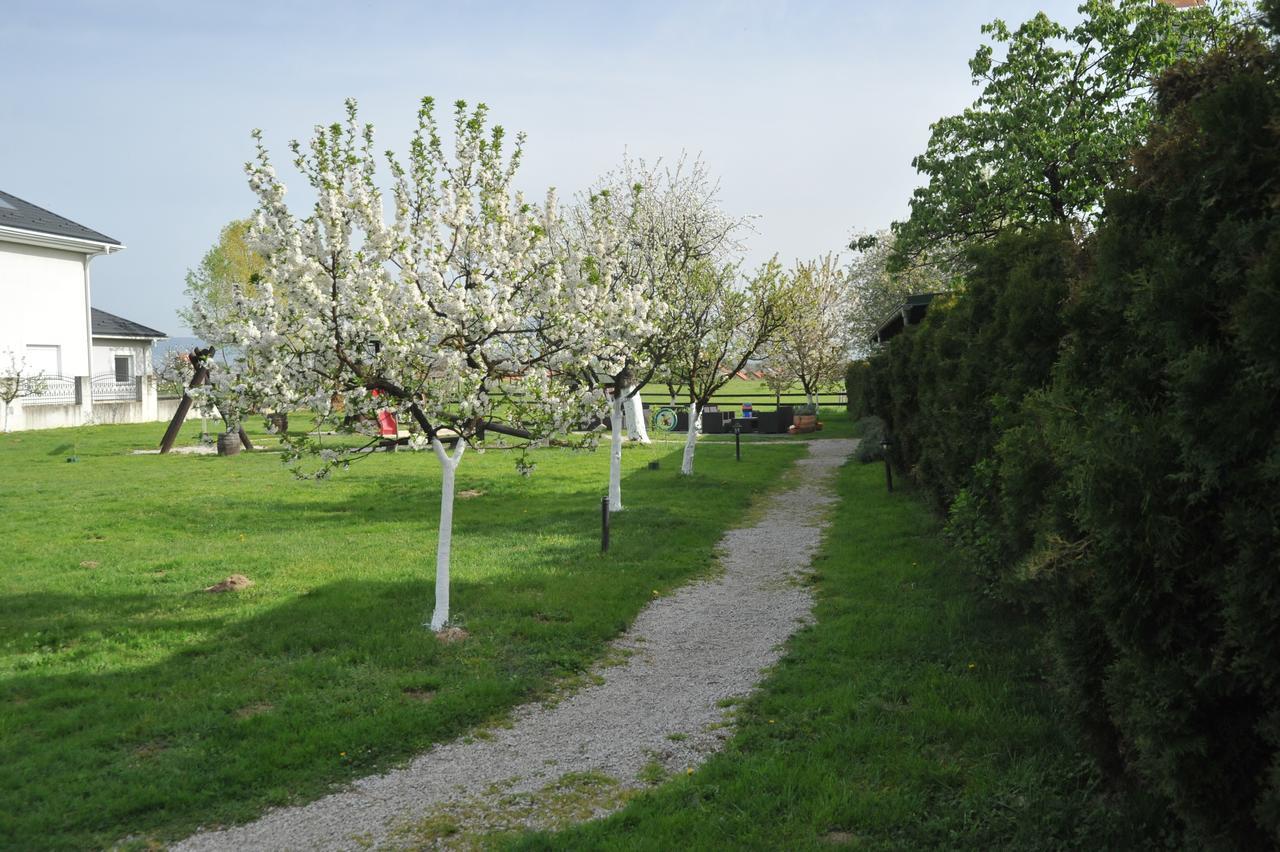 Hrvatski Leskovac Klet Cinkus Bed & Breakfast エクステリア 写真